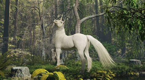 Fairy Tale Forest Unicorn Stock Illustrations 421 Fairy Tale Forest