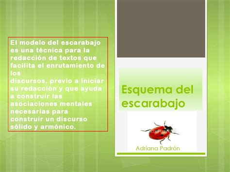 Esquema Del Escarabajo By Adriana Padron Issuu