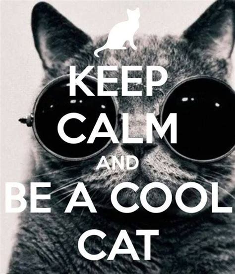 Pin By Robins Clicks On Keep Calm Cool Cats Cats Camping With Teens