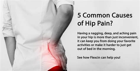 These muscles, including the gluteus maximus and the hamstrings, extend the thigh at the hip in support of the body's weight and propulsion. UnlockHipFlexor