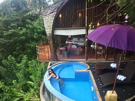 12 Hotel Dengan Pemandangan Indah Di Ubud Bali Kumpulan Gambar Pemandangan