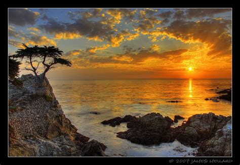 Sunset At The Lone Cypress At Pebble Beach By Mellard Monterey