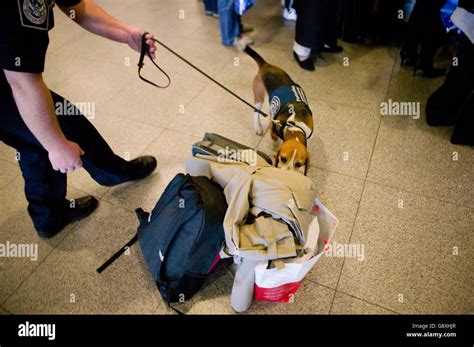 Cbp Airport High Resolution Stock Photography And Images Alamy