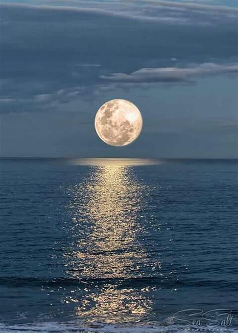 1170x2532px 1080p Free Download Moon And Ocean Moonlight Sea Hd