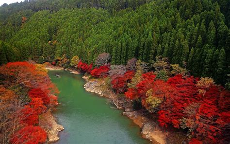 Japan Trees Landscape Colorful Forest Fall Leaves Boat Lake