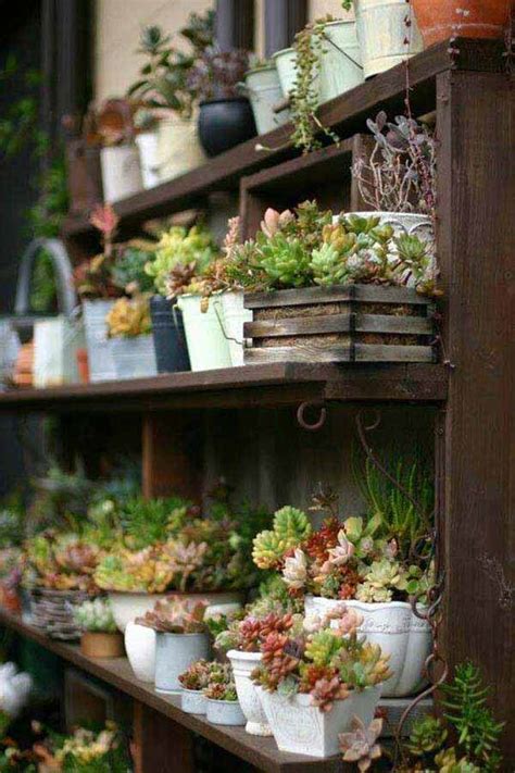 mini indoor garden ideas  green  home amazing