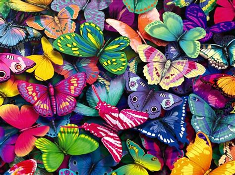 Download Fantastic Butterfly Screensaver Animated