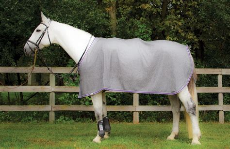 The Clothes Horse Setting The Bar For Horse And Stable The Plaid