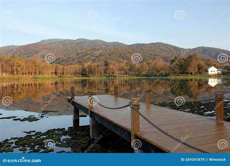Wooden Dock On A Lake Surrounded By Trees Stock Image Image Of