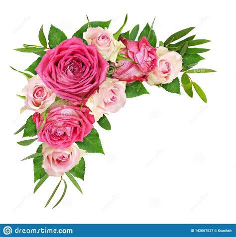 Beautiful Pink And White Rose Flowers With Eucalyptus