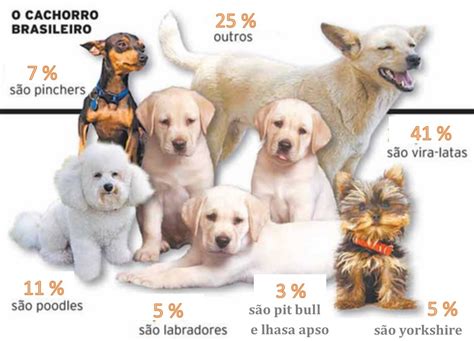 Raças Mais Comuns De Cachorro No Brasil Pet Total Neem