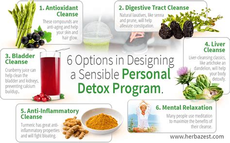 6 Options In Designing A Sensible Personal Detox Program Herbazest