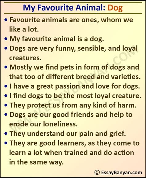 Essay On My Favourite Animal For All Class In 100 To 500 Words In English