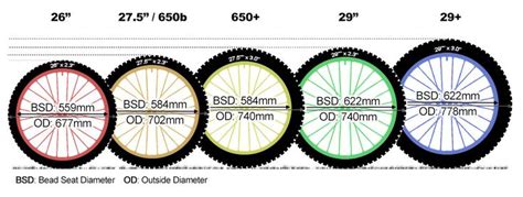 Mtb Wheel Sizes Guide 650 And 29 Explained Bike Wheel Mtb Mountain