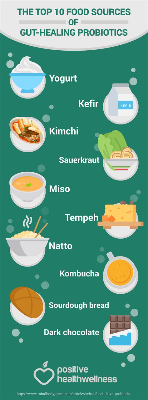 The Top 10 Food Sources Of Gut Healing Probiotics Infographic