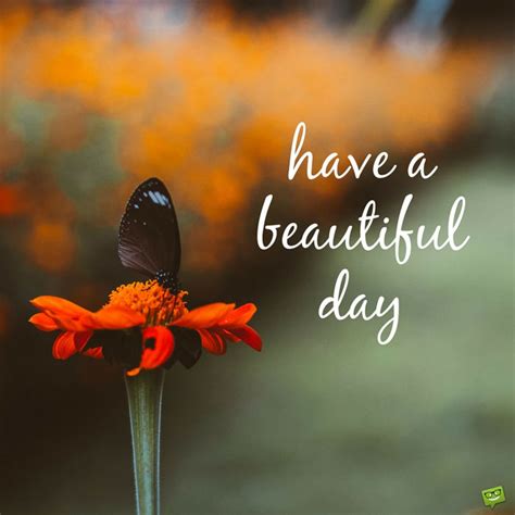 Help someone less fortunate or just do something nice for someone. have-a-beautiful-day-on-pic-with-butterfly