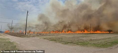 Massive Texas Wildfire Torches Dozens Of Homes And Leaves A Sheriffs