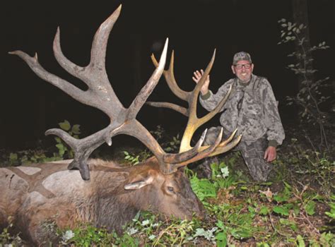 Giant Pennsylvania Elk Designated As States Non Typical Archery Record