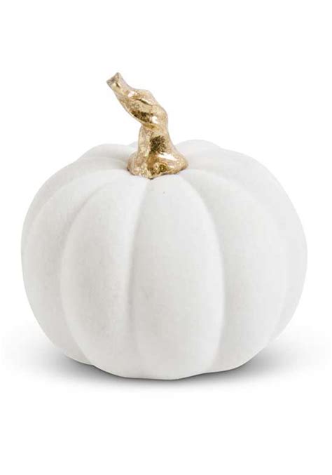 35 White Velvet Pumpkin With Twisted Gold Stem