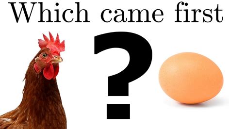 Which Came First The Chicken Or The Egg Youtube