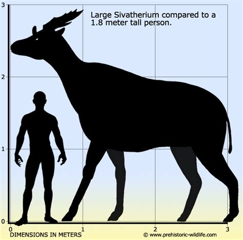 Sivatherium Giganteum Vs Concavenator Corcovatus The World Of Animals