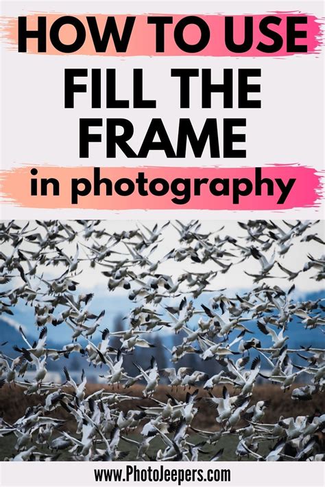 Fill The Frame Photography Technique For Impactful Images Fill The