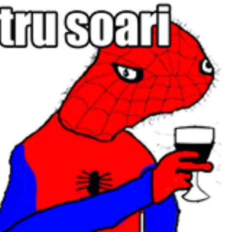 pin  joshua everts  spoderman funny pictures memes spiderman