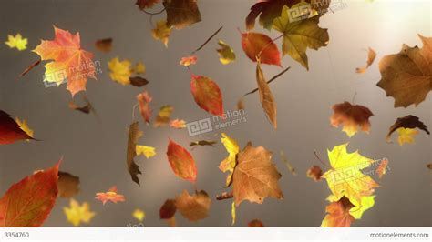 Falling Leaf Loopable Background Stock Animation 3354760