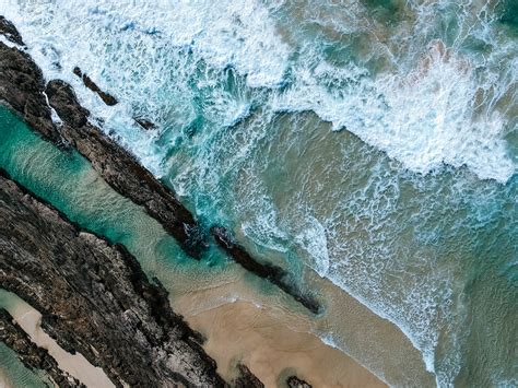 Free Images Aerial Photography Aerial Shot Aerial View Beach Bird