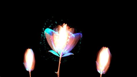 Flower Powers Animated With Particles Flying Around Motion Background