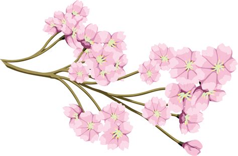 さくら桜のイラスト・画像no024『サクラの花々』／無料のフリー素材集【百花繚乱】