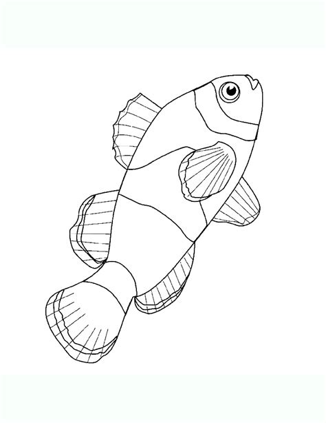 Petits Poissons Coloriage De Poissons Coloriages Pour Enfants Images