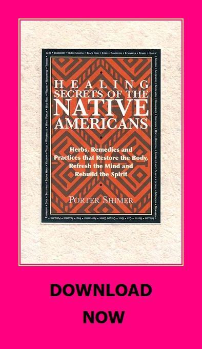healing secrets of the native americans herbs remedies and practices that restore the body