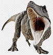 Tyrannosaurus Rex, dinosaurio gris, png | PNGEgg