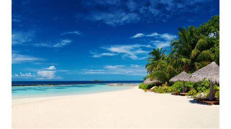 Caribbean Beach Wallpapers 72 Background Pictures