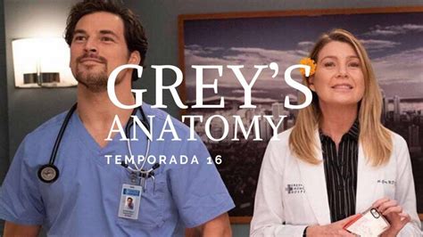 Netflix Estrena La Temporada 16 De Greys Anatomy