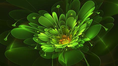 Green Flower Background 46 Images