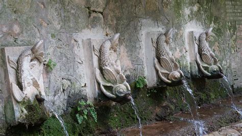 Free Images Water Nature Wildlife Sculpture Art Source Salmon