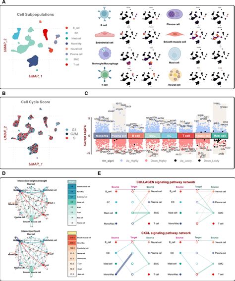 Single Cell Rna Seq Profiling Revealed Cell Landscapes Derived From