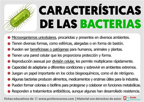 Caracter Sticas De Las Bacterias