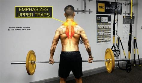Trap Exercises For Muscle Growth 4 Exercises To Add To Your Routine