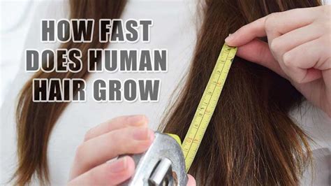 How Fast Does Human Hair Grow 3 Things You Didnt Know Layla Hair