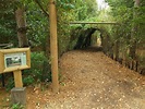 Aprendemos juntos: Bosque de Sherwood - Inglaterra