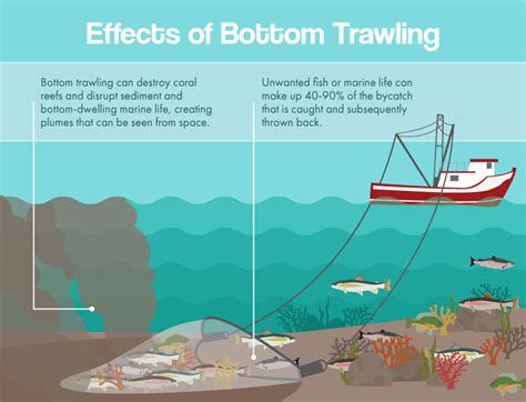 Who Is Most In Danger From The Effects Of Overfishing