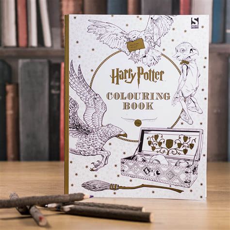 Here are our favorite harry potter gifts for the young and young at heart. Harry Potter Christmas gift guide
