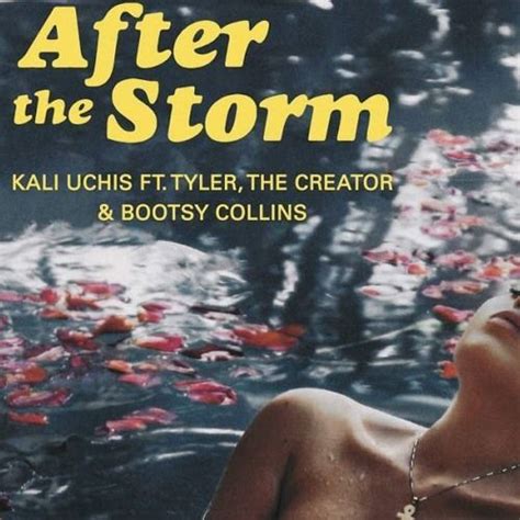 After The Storm Feat Tyler The Creator Bootsy Collins Single EP