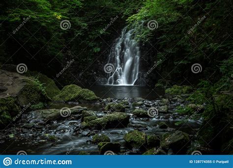 Glenoe Waterfall Northern Ireland Stock Image Image Of Scenery Lush