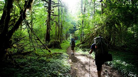 Best Hikes In Washingtons Olympic National Park