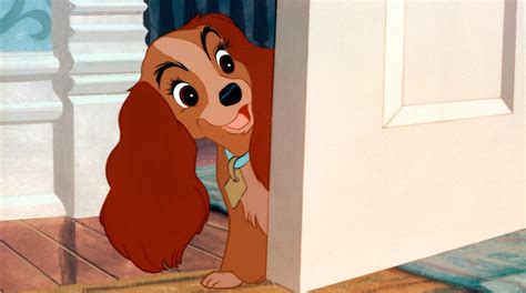 Lady And The Tramp Gallery Disney Movies