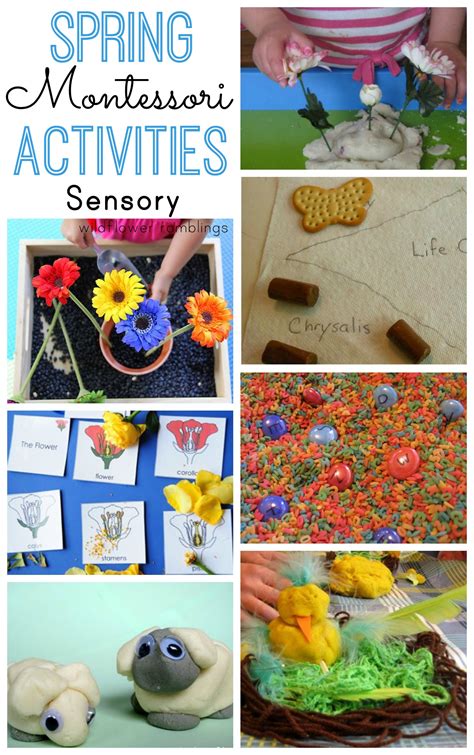 Montessori Spring Activities Wildflower Ramblings New